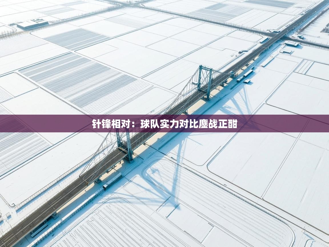 开云体育app下载链接-针锋相对:球队实力对比鏖战正酣 第2张