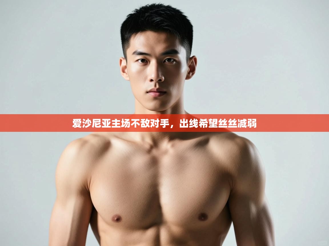 开云体育app官网入口网页版-爱沙尼亚主场不敌对手，出线希望丝丝减弱  第3张