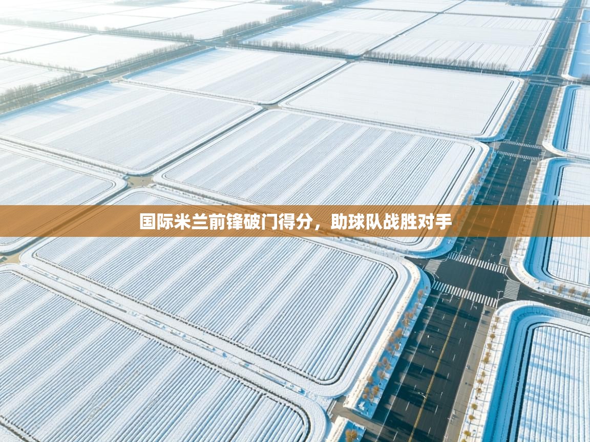 开云体育在线观看-国际米兰前锋破门得分，助球队战胜对手