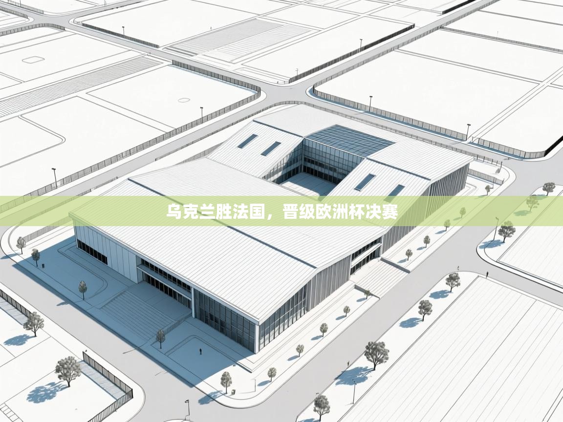 开云登录-乌克兰胜法国，晋级欧洲杯决赛  第3张