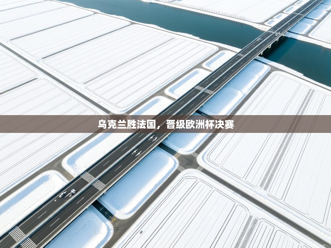 开云登录-乌克兰胜法国，晋级欧洲杯决赛  第4张