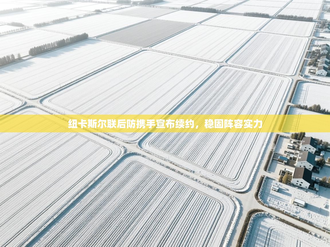 开云体育app下载链接-纽卡斯尔联后防携手宣布续约,稳固阵容实力 第2张