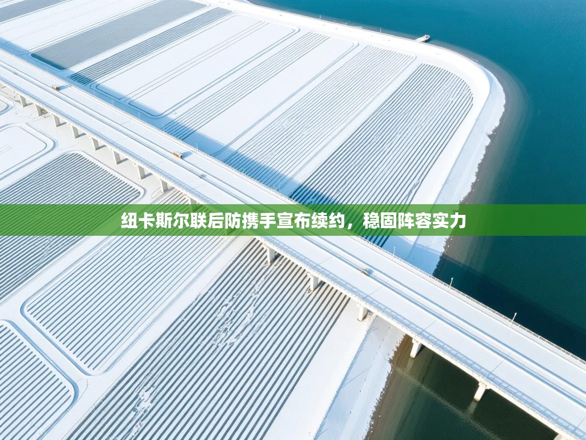 开云体育app下载链接-纽卡斯尔联后防携手宣布续约,稳固阵容实力 第3张