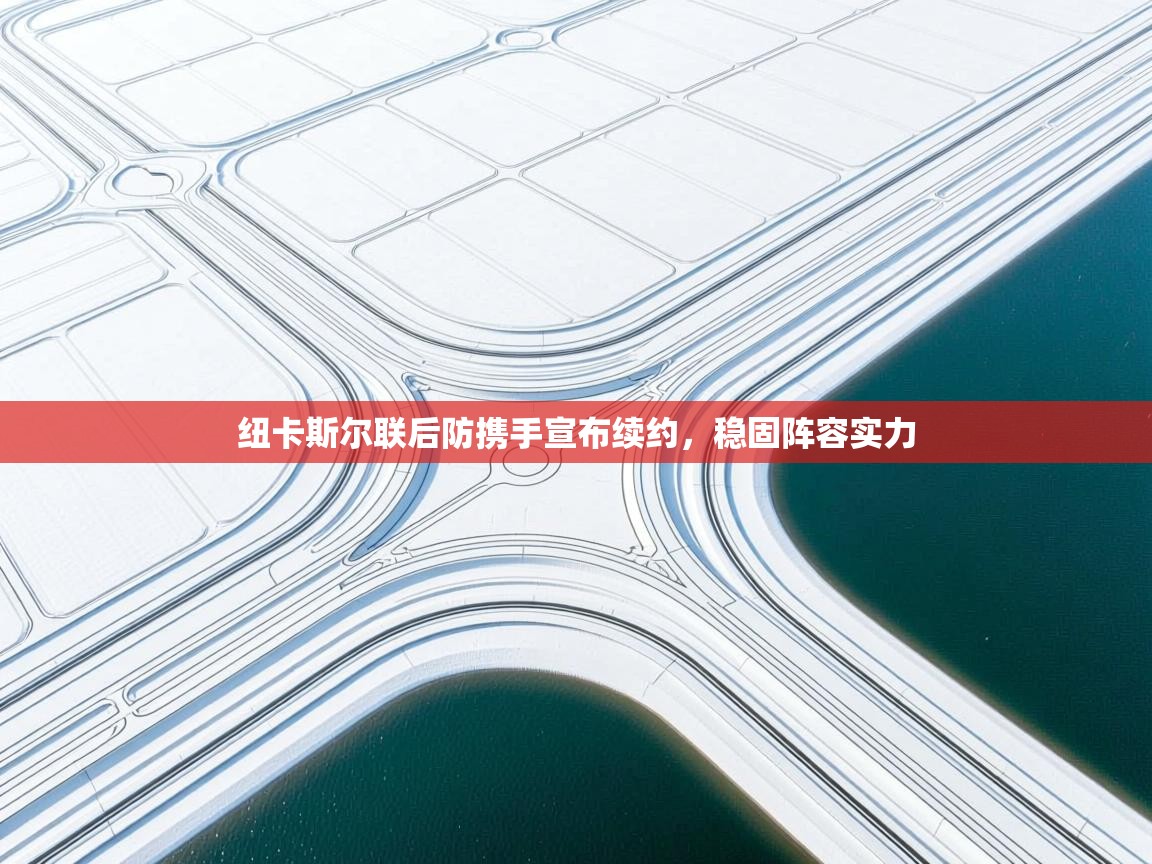 开云体育app下载链接-纽卡斯尔联后防携手宣布续约,稳固阵容实力 第4张