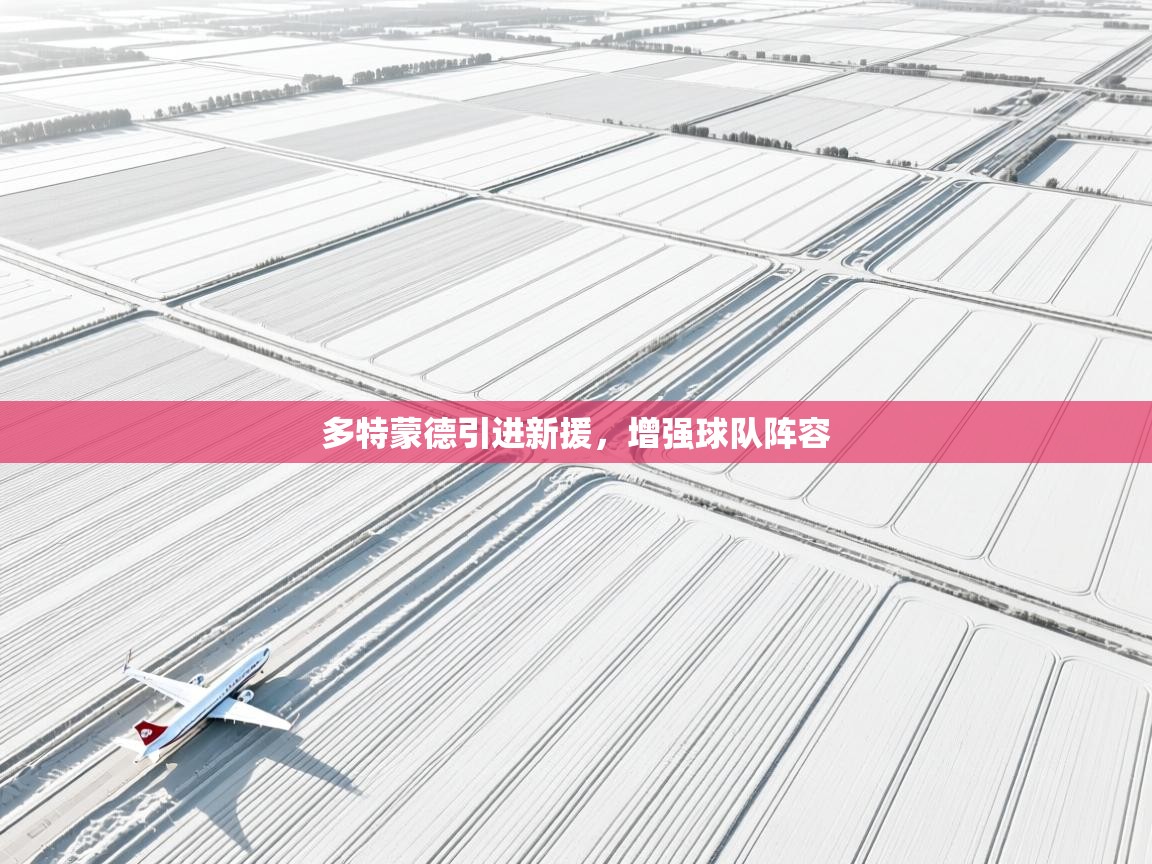 云开体育官网-多特蒙德引进新援，增强球队阵容  第2张