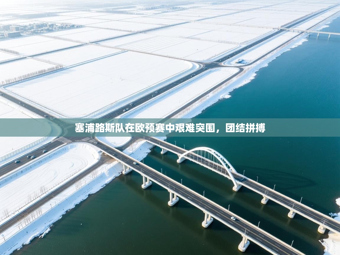 开云体育入口平台-塞浦路斯队在欧预赛中艰难突围，团结拼搏  第2张